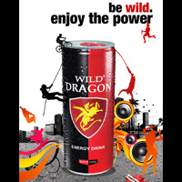 Wild Dragon Poster 06