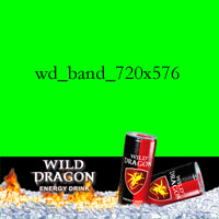 Wild Dragon Video 04